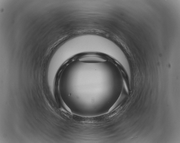 X0000086290356200703301142