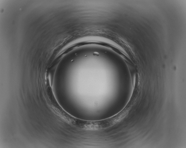 X0000086290362200703301142