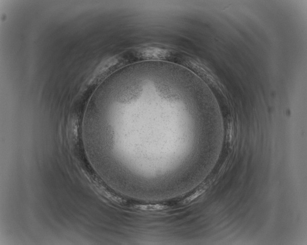 X0000086290363200703301142