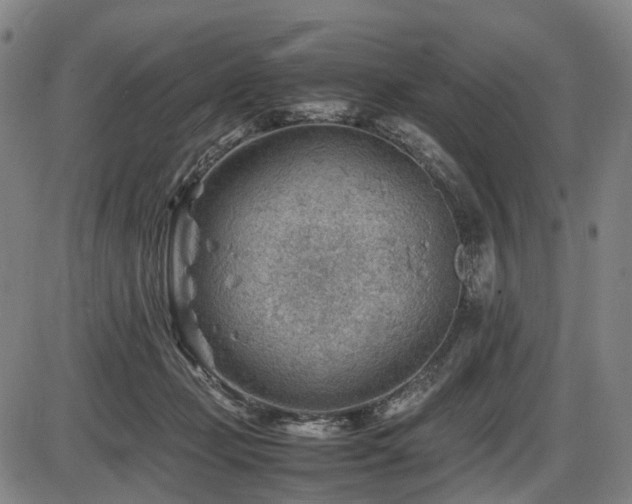 X0000086290365200703301142