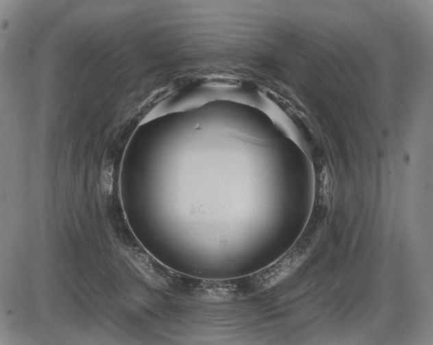 X0000086290368200703301142
