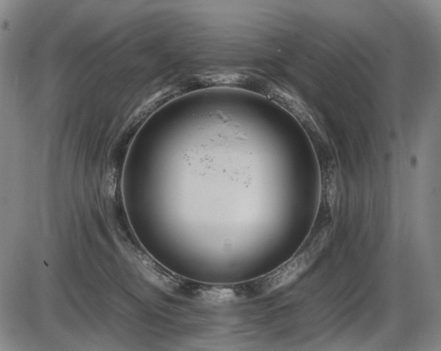X0000086290374200703301142