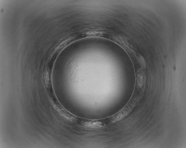 X0000086290375200703301142