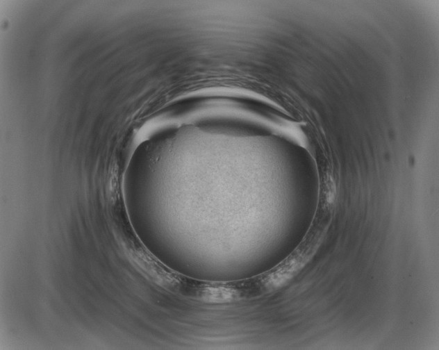 X0000086290376200703301142