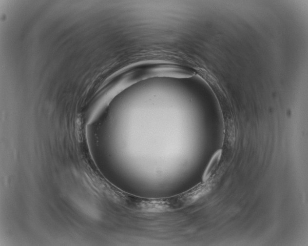 X0000086290378200703301142