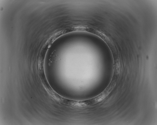 X0000086290379200703301142
