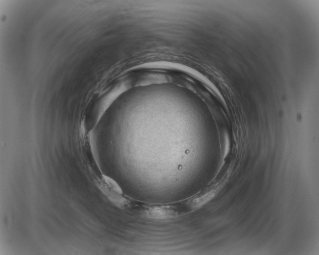 X0000086290382200703301142