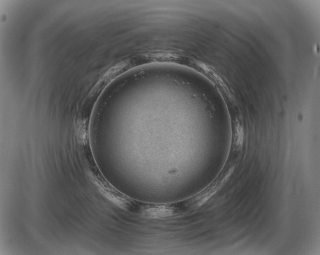 X0000086290383200703301142