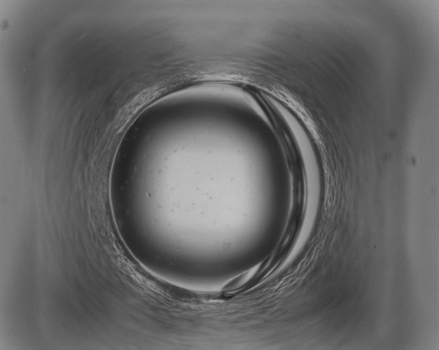 X0000086290385200703301141