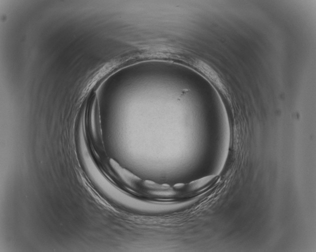 X0000086290389200703301141
