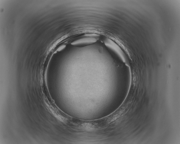 X0000086290390200703301141