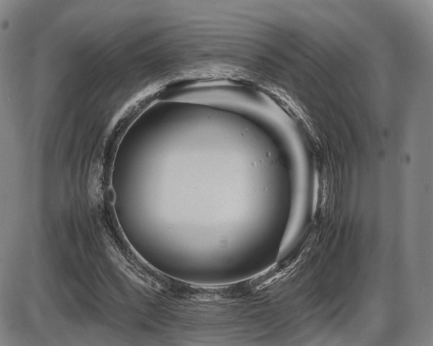 X0000086290392200703301141