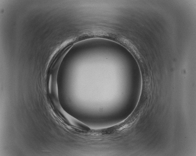 X0000086290395200703301141
