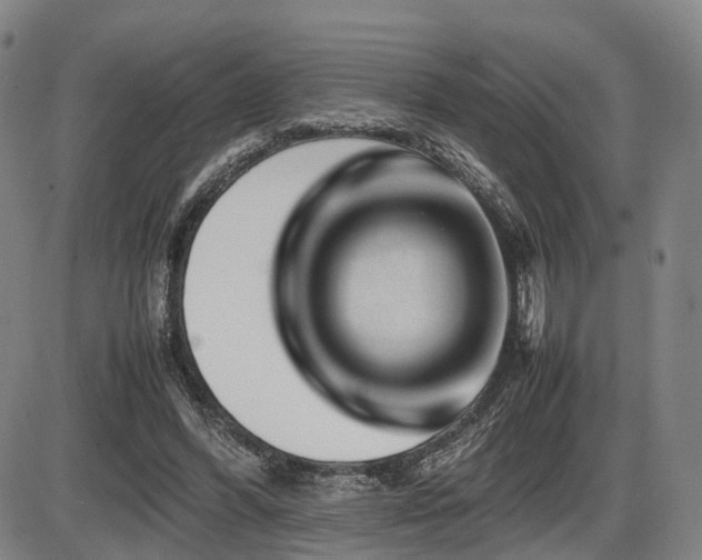 X0000086290396200703301141