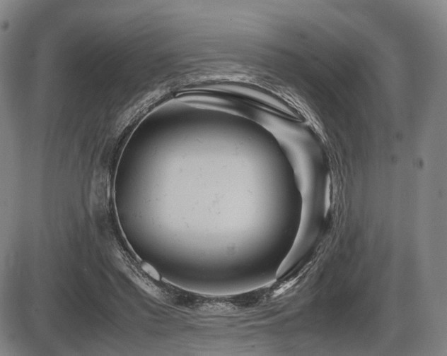 X0000086290397200703301141