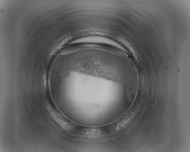 X0000086290398200703301141