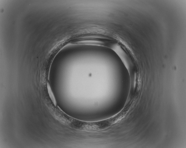 X0000086290403200703301141
