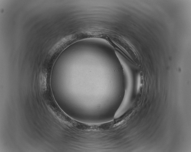 X0000086290404200703301141