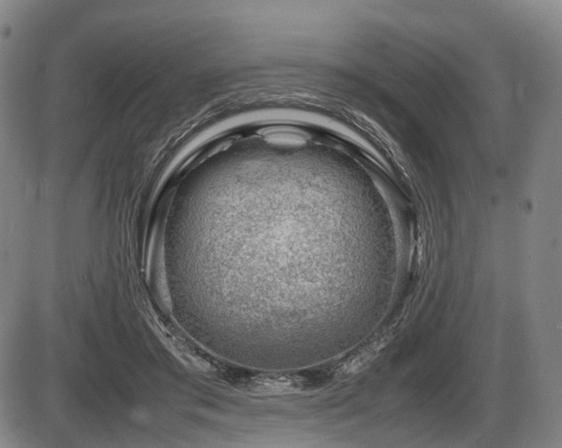 X0000086290405200703301141