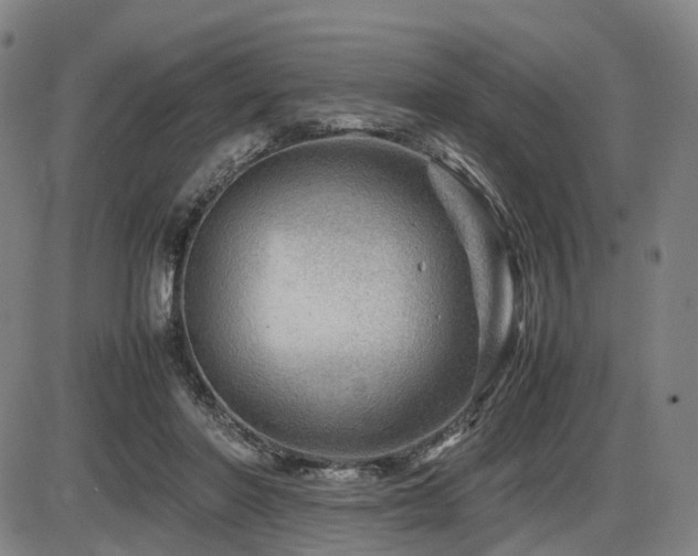 X0000086290406200703301141