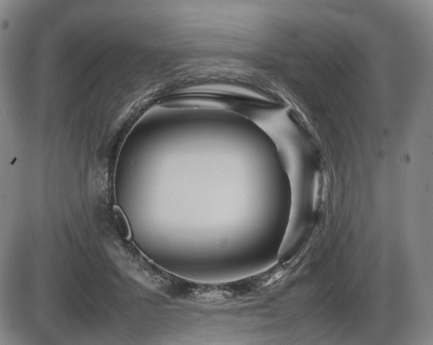 X0000086290407200703301141