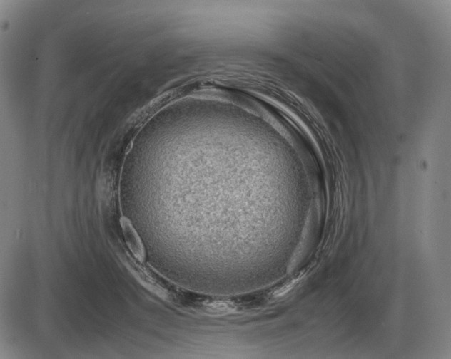 X0000086290409200703301141