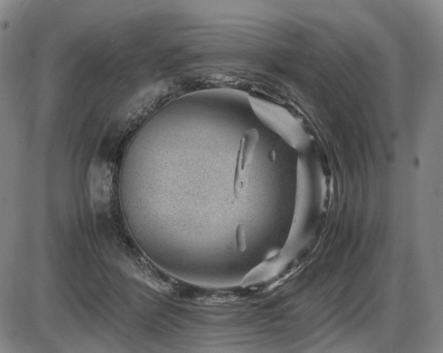 X0000086290412200703301141