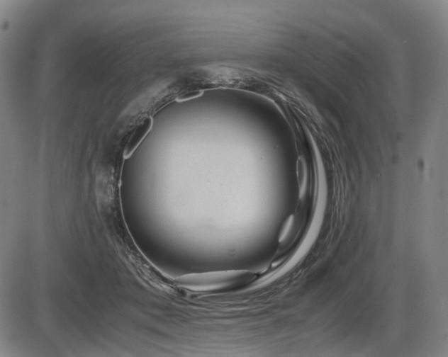 X0000086290413200703301141