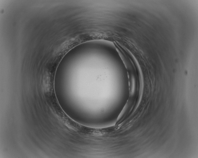 X0000086290416200703301141
