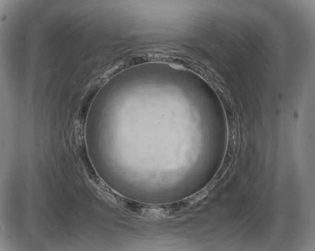 X0000086290419200703301141