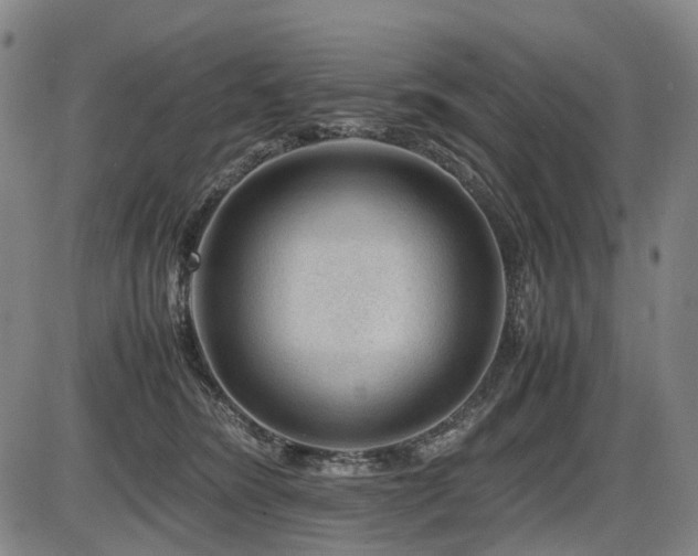 X0000086290420200703301141