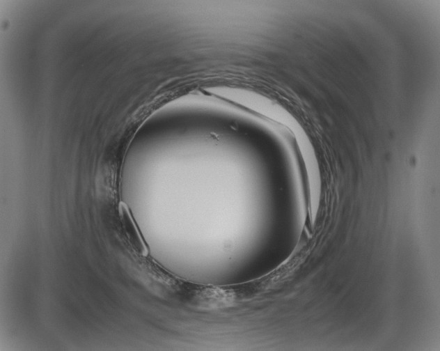 X0000086290421200703301141