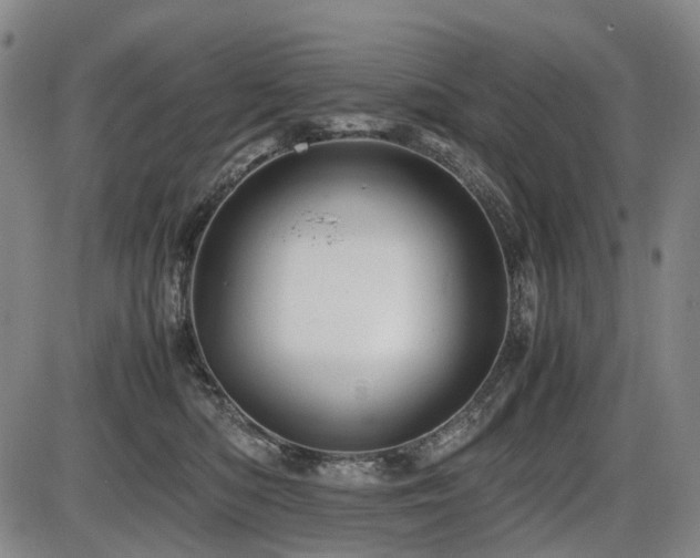 X0000086290422200703301141