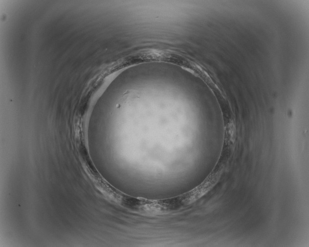 X0000086290423200703301141