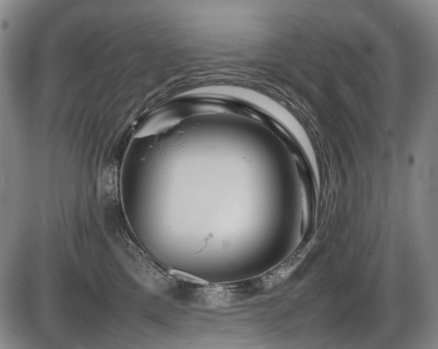X0000086290425200703301141