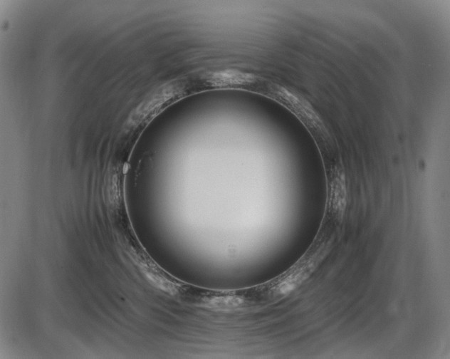 X0000086290426200703301141