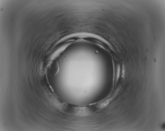 X0000086290428200703301141