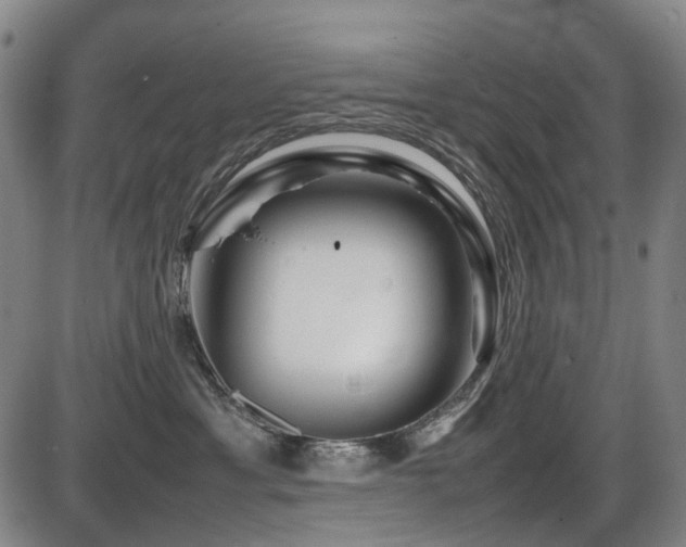 X0000086290429200703301141