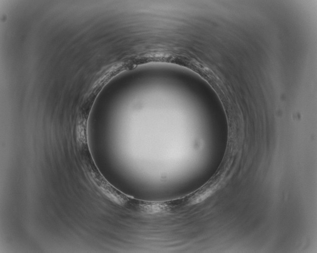 X0000086290432200703301141