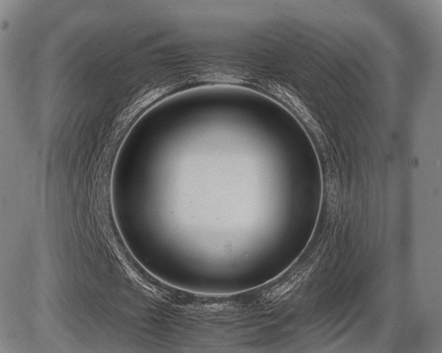 X0000086290433200703301140