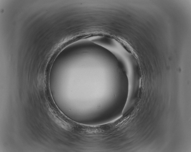 X0000086290439200703301140
