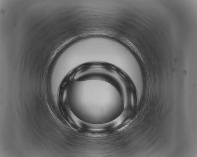 X0000086290444200703301140