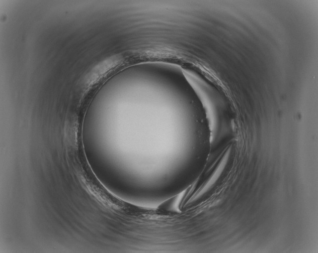 X0000086290446200703301140