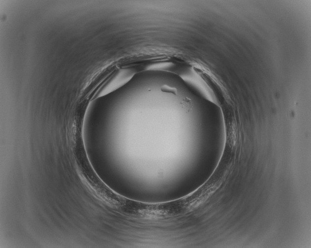 X0000086290448200703301140
