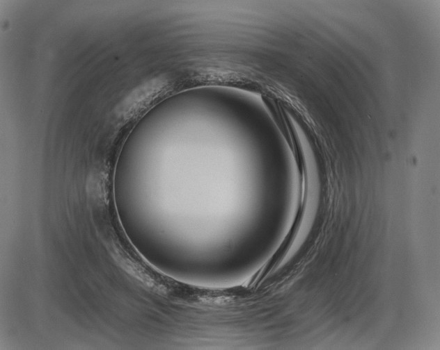X0000086290450200703301140