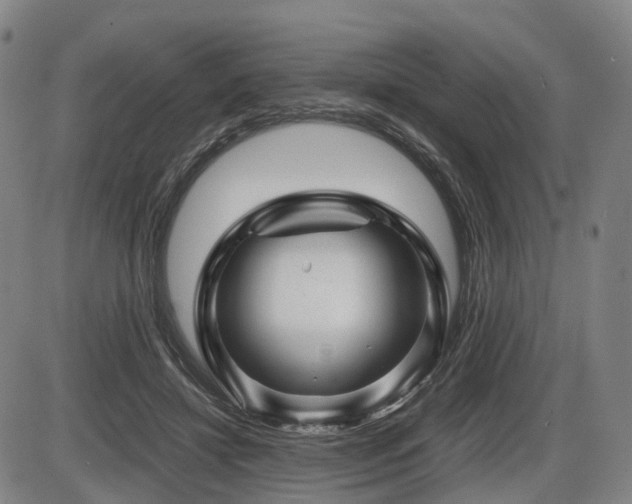 X0000086290452200703301140