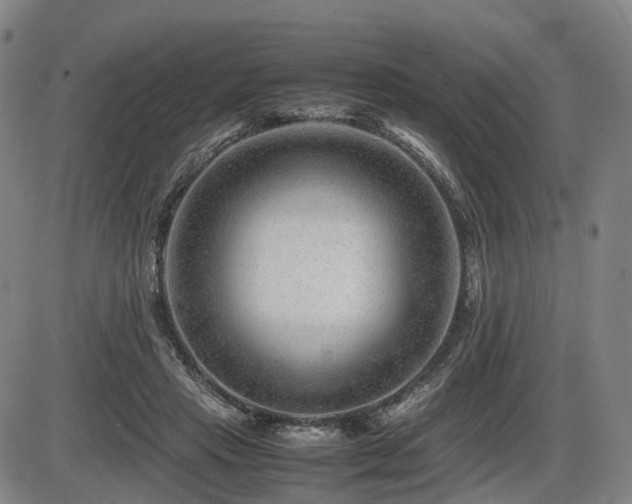 X0000086290453200703301140