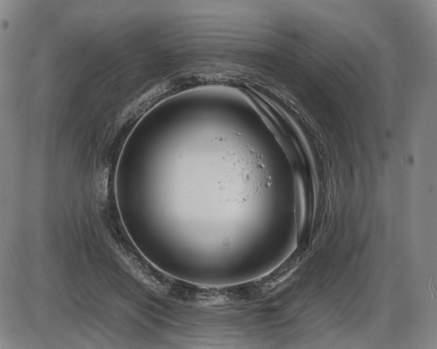 X0000086290454200703301140