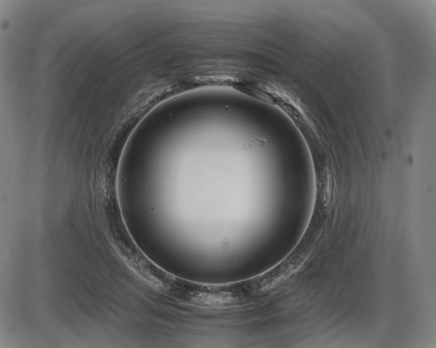 X0000086290455200703301140
