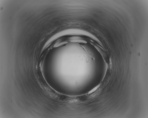 X0000086290456200703301140